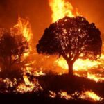 Ancaman Kebakaran Lahan di Kalimantan Barat: Mengapa Cuaca Panas dan Angin Kencang Berbahaya?